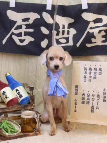 20240611ラッキーくん